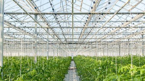 The construction of horticultural buildings could become easier