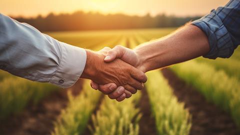 Zwei Personen reichen sich die Hand -  Tymofieieva_AdobeStock