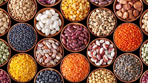 PGRO believes legumes have a bright future
