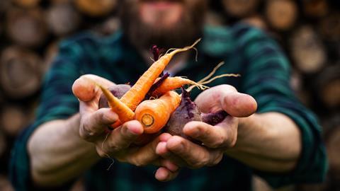 Some 79 per cent of UK consumers feel positive towards fruit and vegetable growers