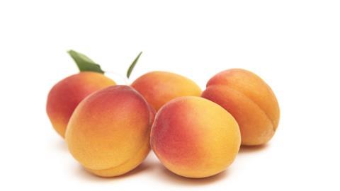 Nzsummer apricots 3