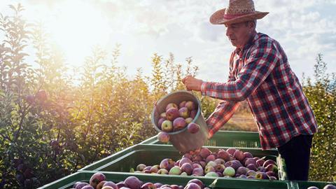 Capespan apples