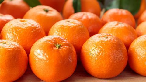 Challenging campaign ahead for Chilean citrus | Article | Fruitnet
