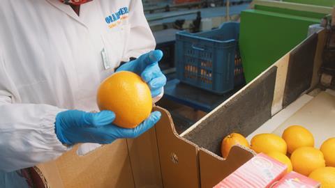 Unifrutti blood oranges being inspected at Oranfrizer in Catania, Sicily