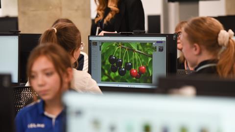 Students using computer vision to detect ripe cherries and predict yields
