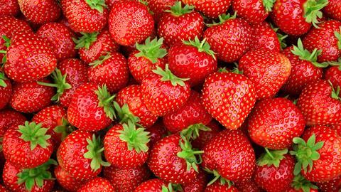 Erdbeeren