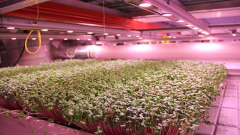GrowUp hydroponics