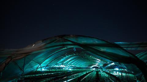 Thorvald carries out UV-C treatment at night