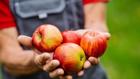 Vier Äpfel in Händen