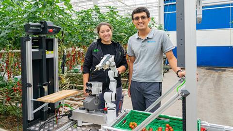 Gewächshausleiterin Bianca Curcio und Roboter-Entwickler Salman Faraji wollen die Tomatenernte automatisieren