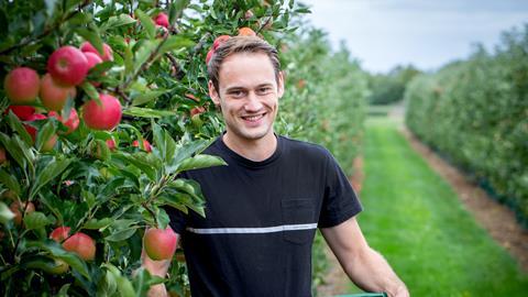 Landgard apple harvest Philip Wißkirchen