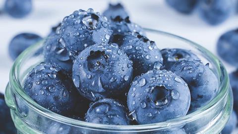 Sekoya blueberries