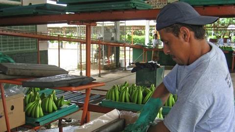 Ecuador is the world's biggest exporter of bananas