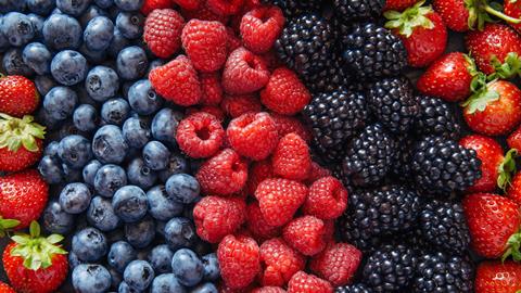 All berries are in strong growth