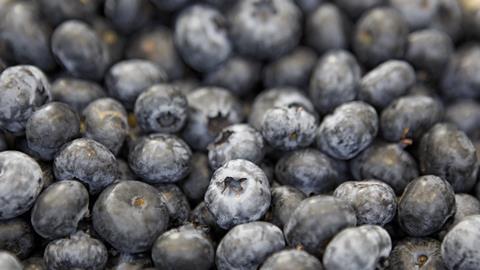 Blaubeeren