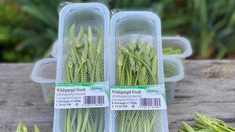 Wildspargel frisch Schalen - Pilze Niklas