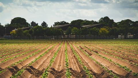 Life is far from straightforward for UK potato suppliers right now