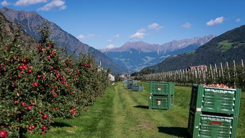 Apfelanbau in Trentino-Südtirol