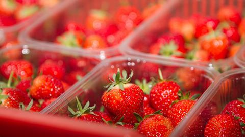 British Berry Growers reported a 0% average year-on-year return increase for strawberries