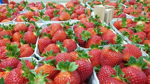 Erdbeeren in Pappschalen