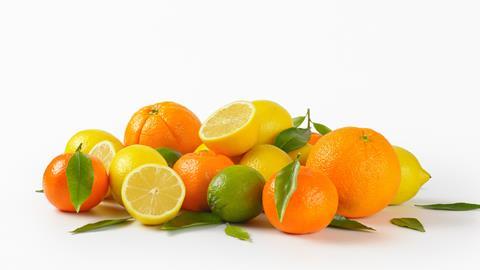 Citrusfrüchte-Mix