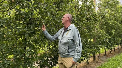 Obstbau Schweiz, Pierre Dorsaz überprüft seine Obstplantage