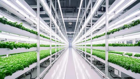 Vertikal Indoor-Farming