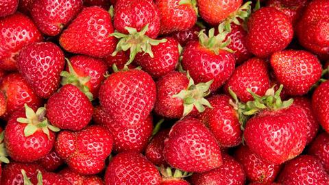Hall Hunter grows a range of strawberries and other soft fruit