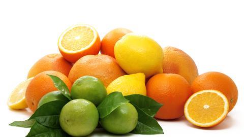 Citrusfrüchte-Mischung