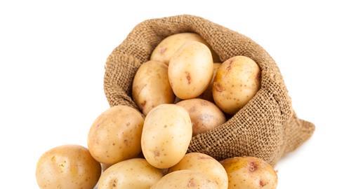 Kartoffeln im Sack und drumherum