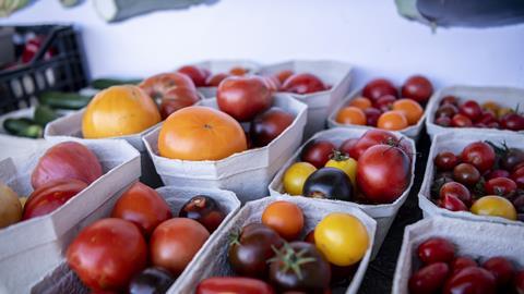 Unterschiedliche Tomatensorten in Schalen