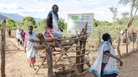 Tenderstem's Climate-Smart Kitchen Gardening Project has benefitted hundreds of Kenyans