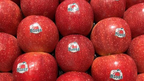 NL Bloss apples Fruitmasters