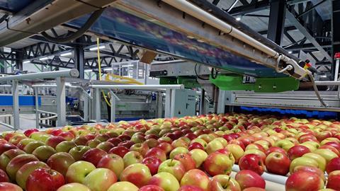 Blick in Apfelproduktion