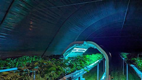 A Thorvald 3 robot operating at night to control powdery mildew and dispense predatory mites