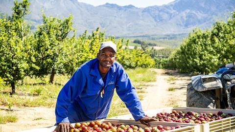 South Africa continues to innovate with its production practices