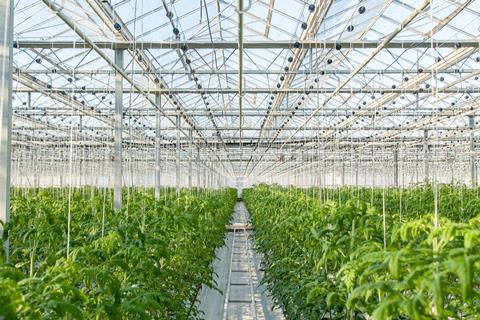 The construction of horticultural buildings could become easier