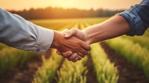 Zwei Personen reichen sich die Hand -  Tymofieieva_AdobeStock