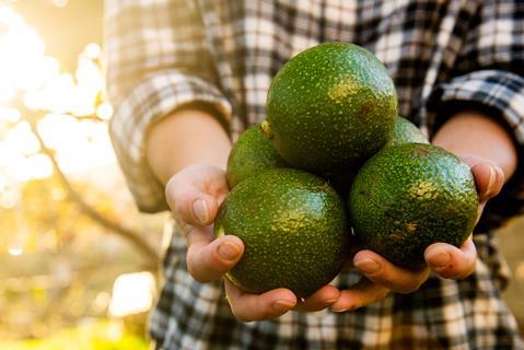 180723 - Frau hält Avocados in Händen - mimagephotes,AdobeStock