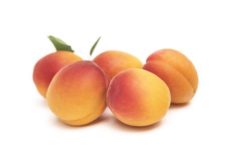 Nzsummer apricots 3