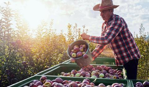 Capespan apples
