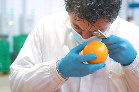 Unifrutti blood oranges being inspected at Oranfrizer in Catania, Sicily 3