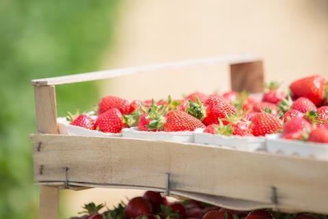 Erdbeeren im Korb