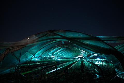 Thorvald carries out UV-C treatment at night