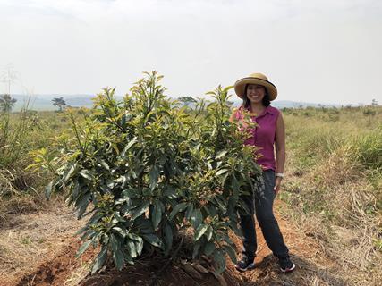 Aliya Hajee wants to see government support for Ugandan Hass growers
