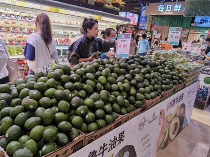 Shanghai Supafresh BUT Supermarket ProHass Peru Avocado Promotion