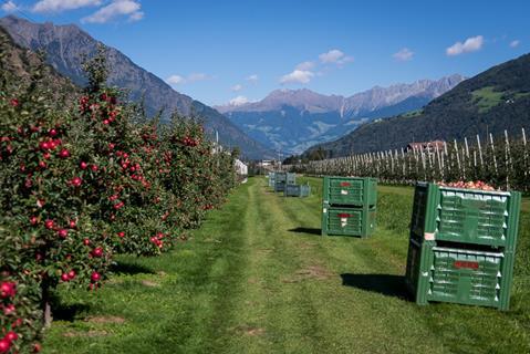 Apfelanbau in Trentino-Südtirol