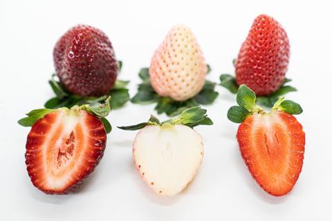 Australian researchers will attempt to identify the genes that influence strawberry characteristics such as colour