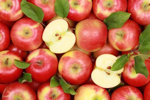 Äpfel