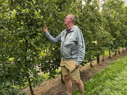 Obstbau Schweiz, Pierre Dorsaz überprüft seine Obstplantage